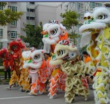 深圳舞狮培训 深圳舞狮活动 深圳邀请舞狮表演团队