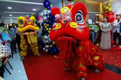 揭秘醒狮在开业典礼中的文化象征与重要性