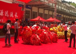 深圳龙岗布吉庆典礼仪用品-大芬村舞狮开业活动策划-可园花蓝拱门地毯
