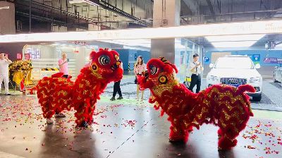 开业舞狮表演/寿宴婚礼舞狮团队/舞狮仪式有哪些流程