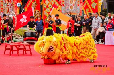 正宗舞狮表演全流程详解